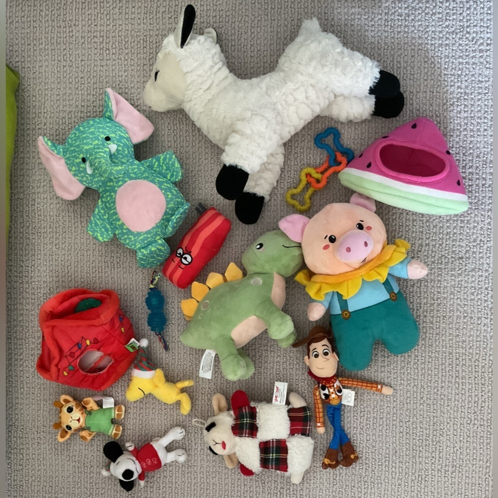Assorted Dog Toys 15+ Items
